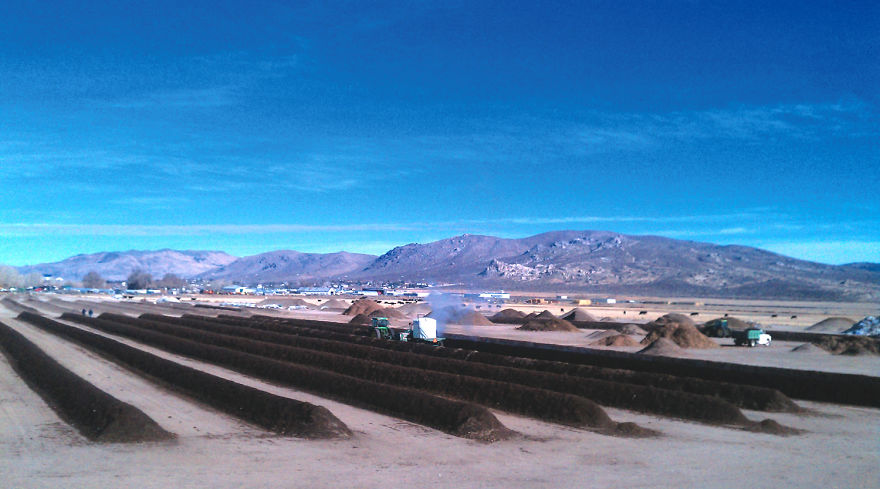 Causes, Effects And Remediation For Over-Fertilization Of Soil