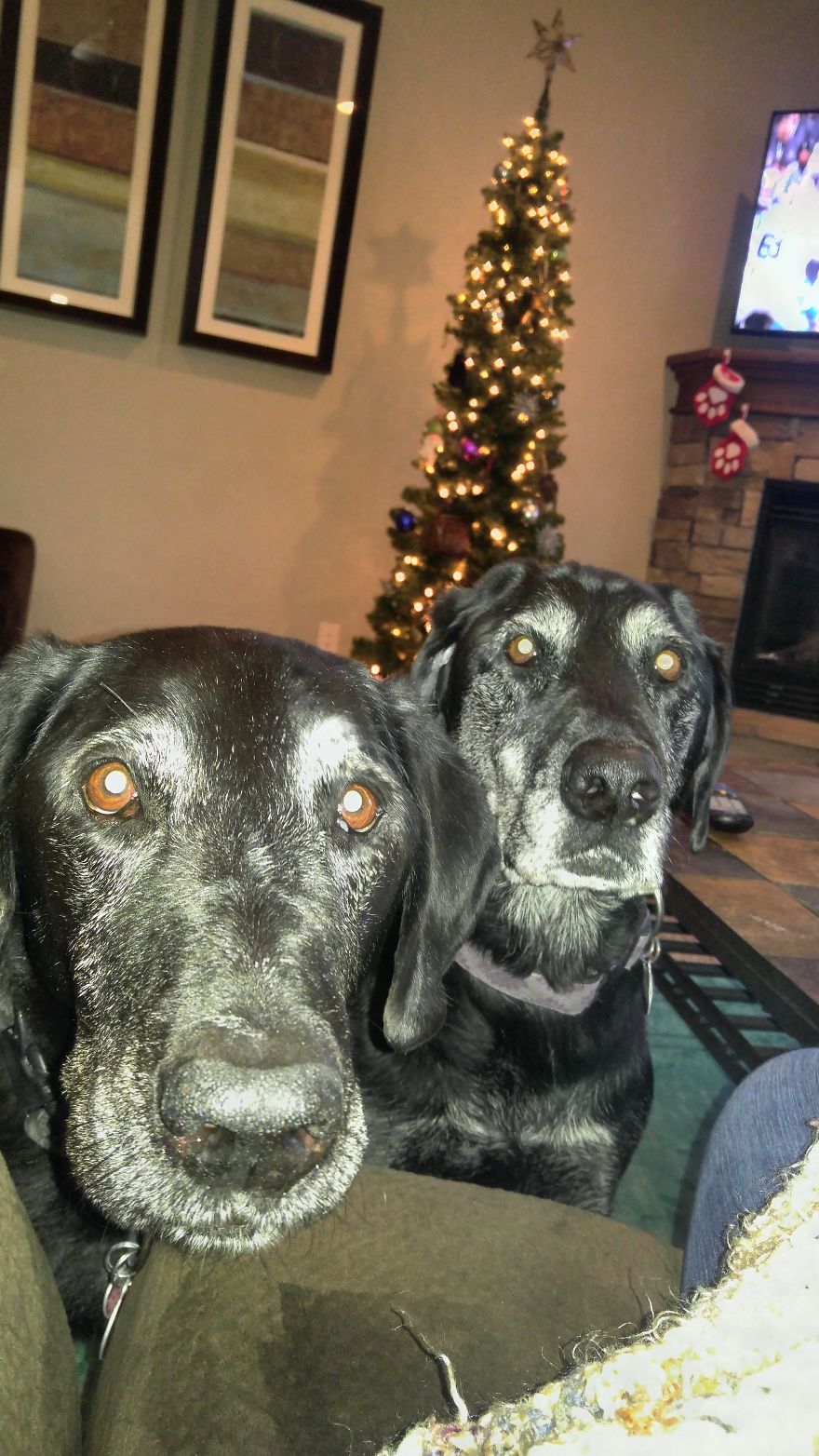 Ruger Susan: 14, And Remington: 13