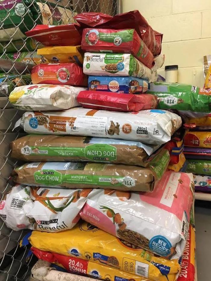 Community’s Generosity Overwhelms Animal Shelter And Organizer Community’s Generosity Overwhelms Animal Shelter And Organizer