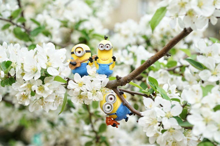 I Turn My Toys Alive With My Camera