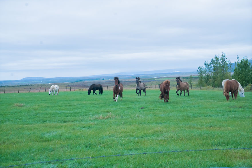 Our Trip To Iceland With My Dad Who Is An Als Patient Our Trip To Iceland With My Dad Who Is An Als Patient