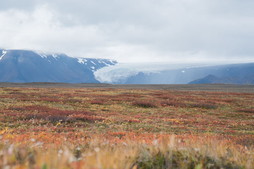 Our Trip To Iceland With My Dad Who Is An Als Patient