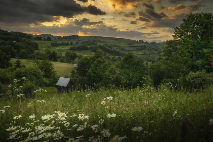 I Made Some Miles To Take These Sunsets