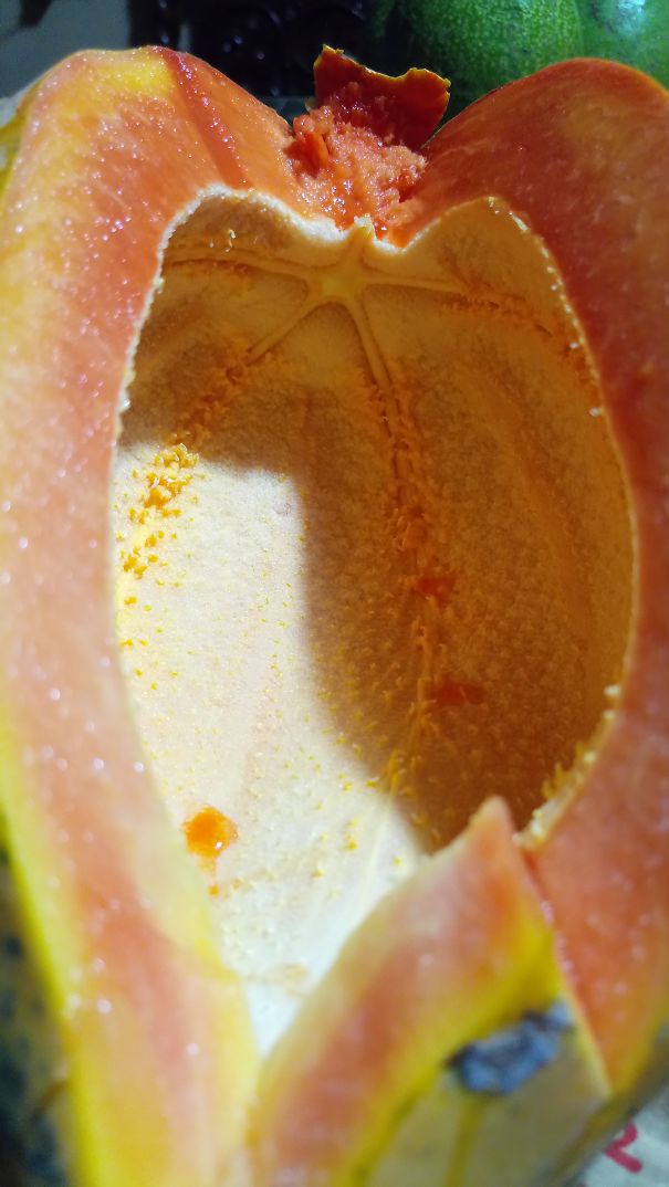 Papaya With Completely Zero Seeds