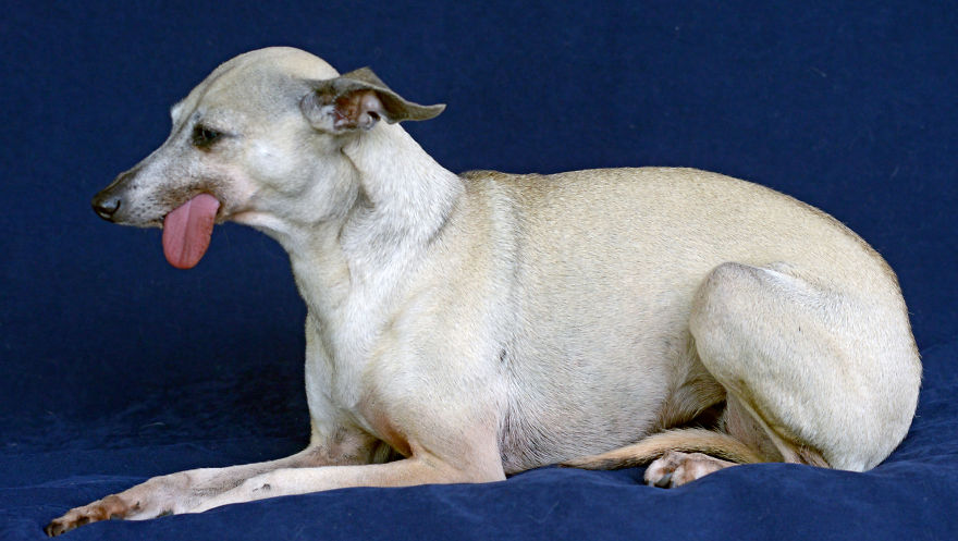 Celie, 11 Year Old, Millaa Millaa, Far North Queensland, Australia