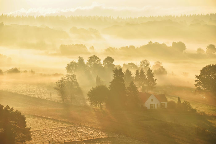 I Documented The Seasonal Change Of Nature Within 15-Minute Cycling From My House