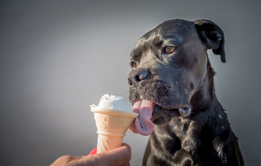 We Love Ice Cream We Love Ice Cream