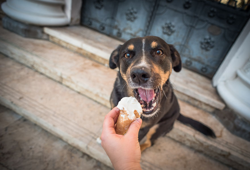 We Love Ice Cream We Love Ice Cream
