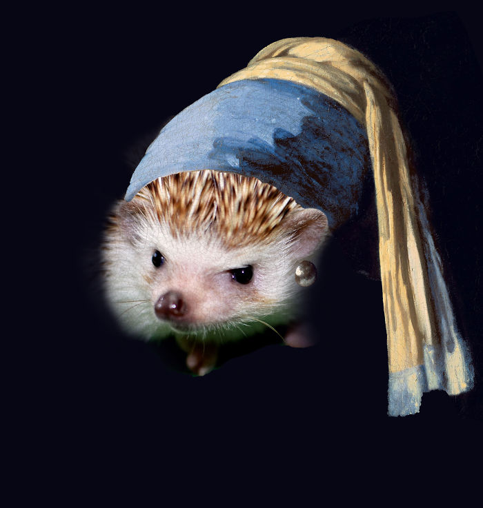 Vermeer's Hedgehog With A Pearl Earring
