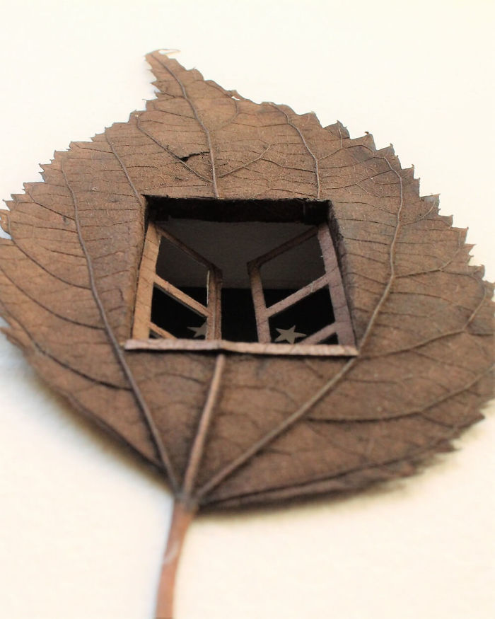 Lorenzo M. Durán's Leaf Art: Evolution