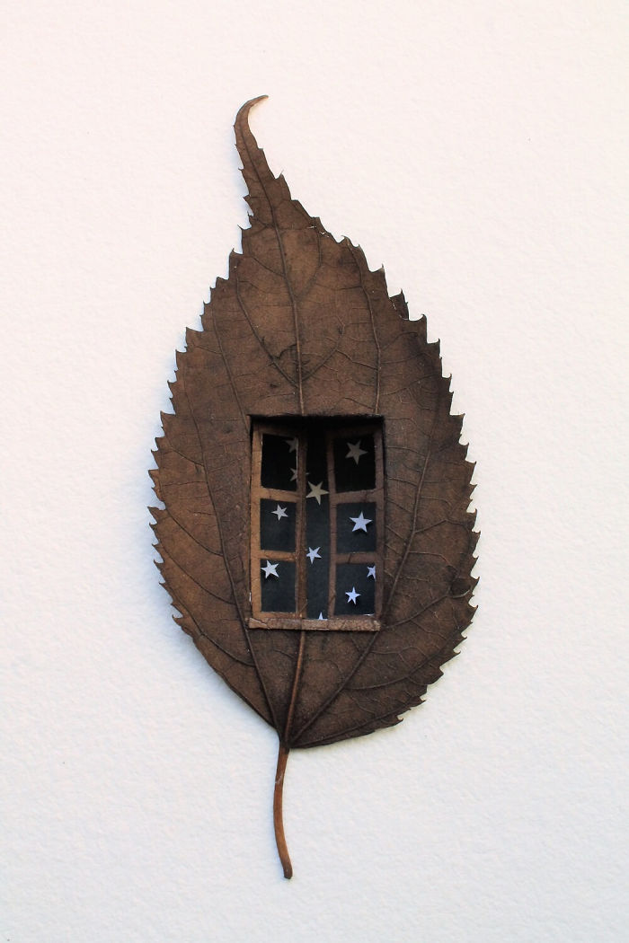 Lorenzo M. Durán's Leaf Art: Evolution