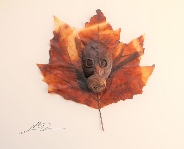 Lorenzo M. Durán's Leaf Art: Evolution