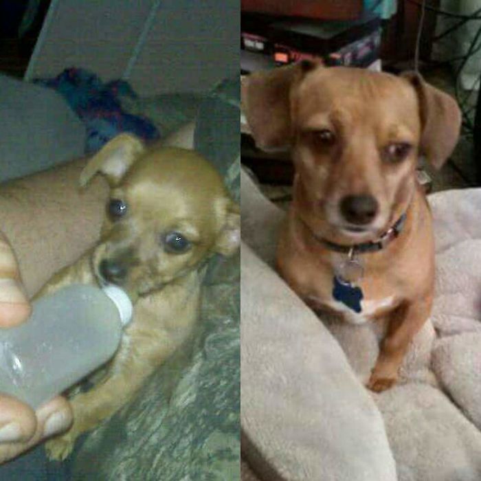 Gatorbug 5 Weeks To 7 Years.