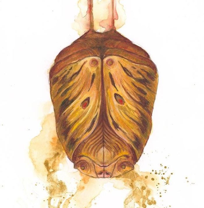 Faeries Are Taking Over.... An Artbook By Iris Compiet