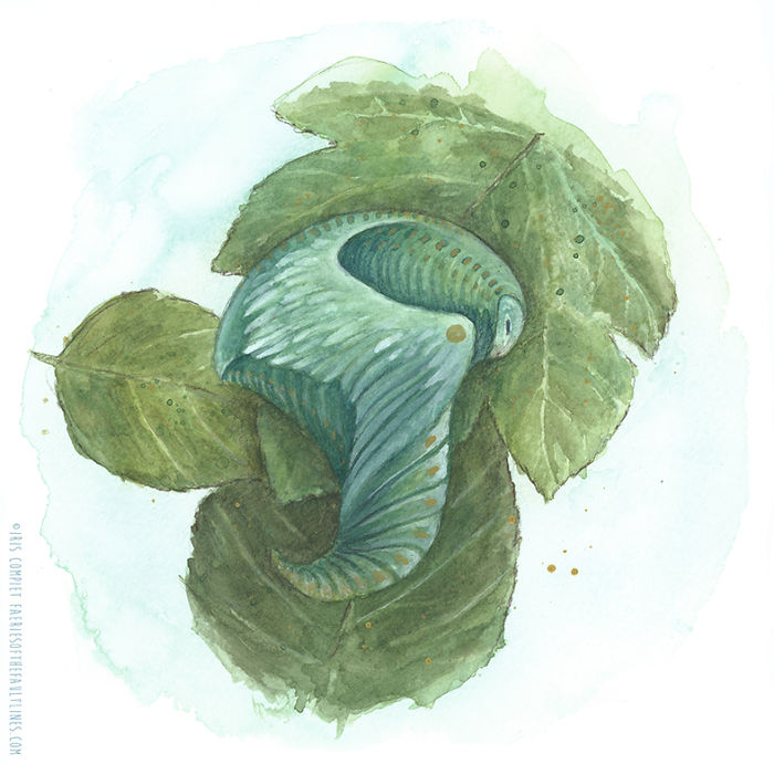 Faeries Are Taking Over.... An Artbook By Iris Compiet