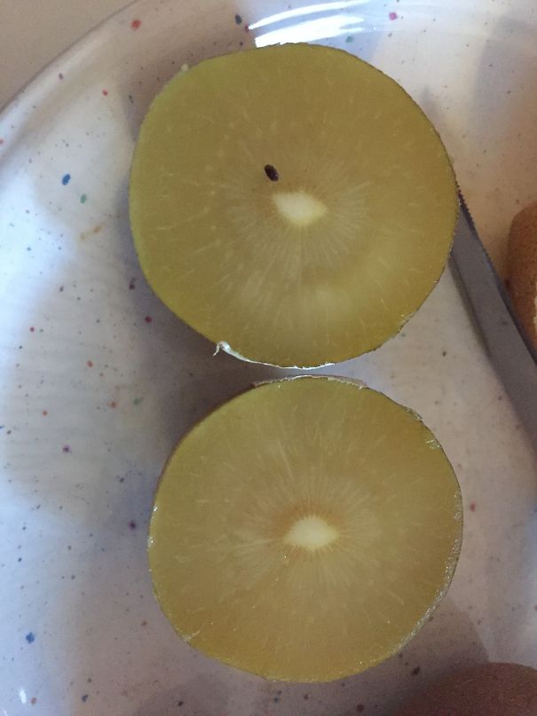 Best Kiwifruit Ever!