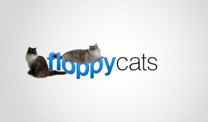 10 Ways To Communicate With Your Cat 10 Ways To Communicate With Your Cat