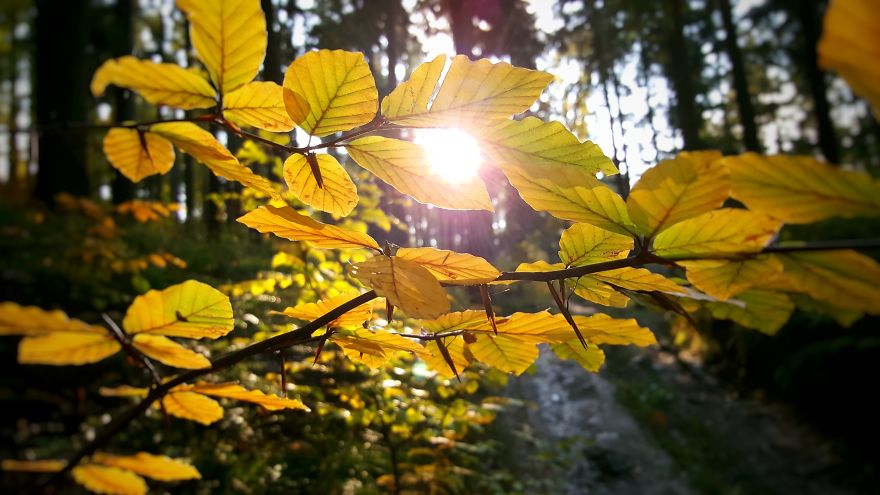 I Want To Show The Beauty Of Poland Using Smartphone (Part 2) I Want To Show The Beauty Of Poland Using Smartphone (Part 2)