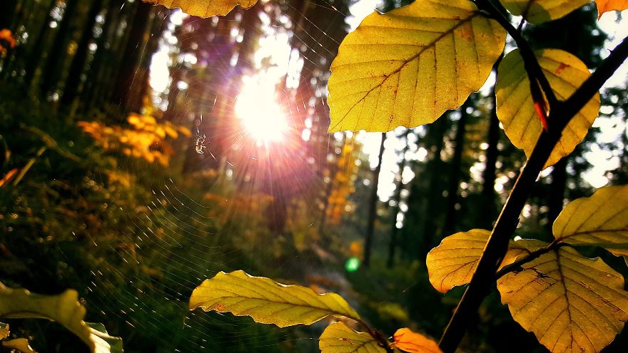 I Want To Show The Beauty Of Poland Using Smartphone (Part 2) I Want To Show The Beauty Of Poland Using Smartphone (Part 2)