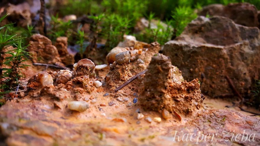 I Want To Show The Beauty Of Poland Using Smartphone (Part 2) I Want To Show The Beauty Of Poland Using Smartphone (Part 2)