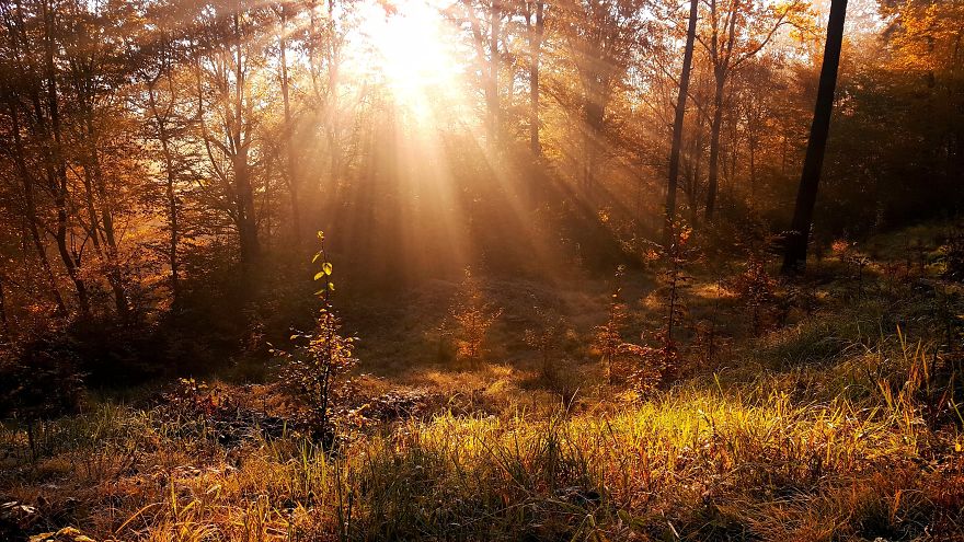 I Want To Show The Beauty Of Poland Using Smartphone (Part 2) I Want To Show The Beauty Of Poland Using Smartphone (Part 2)