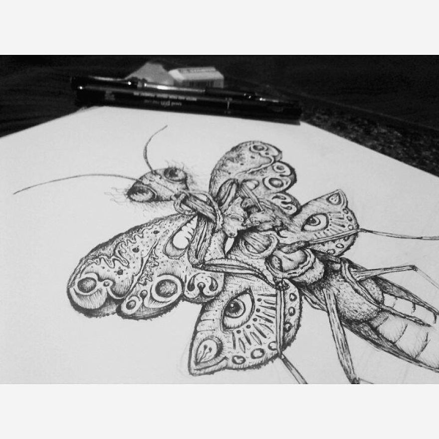 Hybrid Dark Mantis Illustrated For A Song