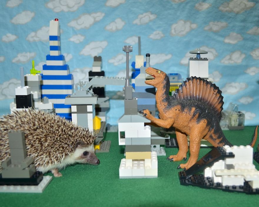 My Pet Hedgehog Has A Secret Life: Hedgezilla!