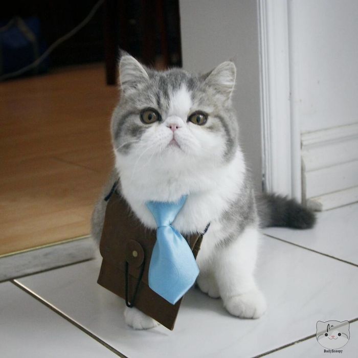 I'm Attempting The 9-5 Grind