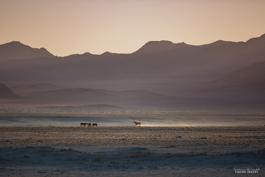 I Met A Fading Myth In Namibia And It Broke My Heart