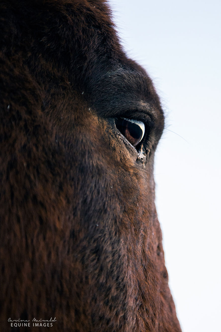 I Met A Fading Myth In Namibia And It Broke My Heart