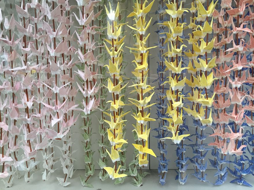 I Only Use My Iphone 6 To Capture My Travel Adventures