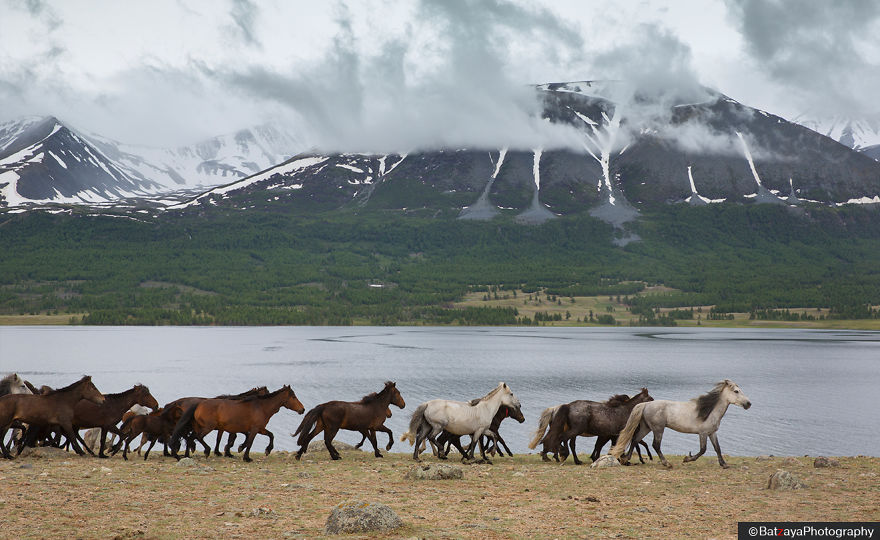 I Traveled To Mongolian Altai Mountains