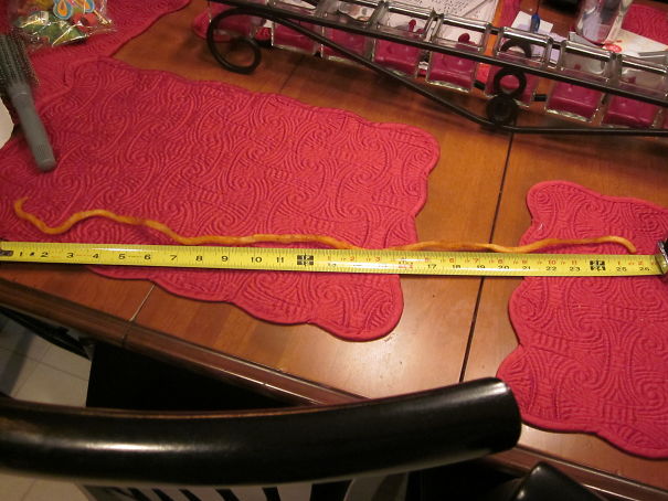 Longest Curly Fry Ever!