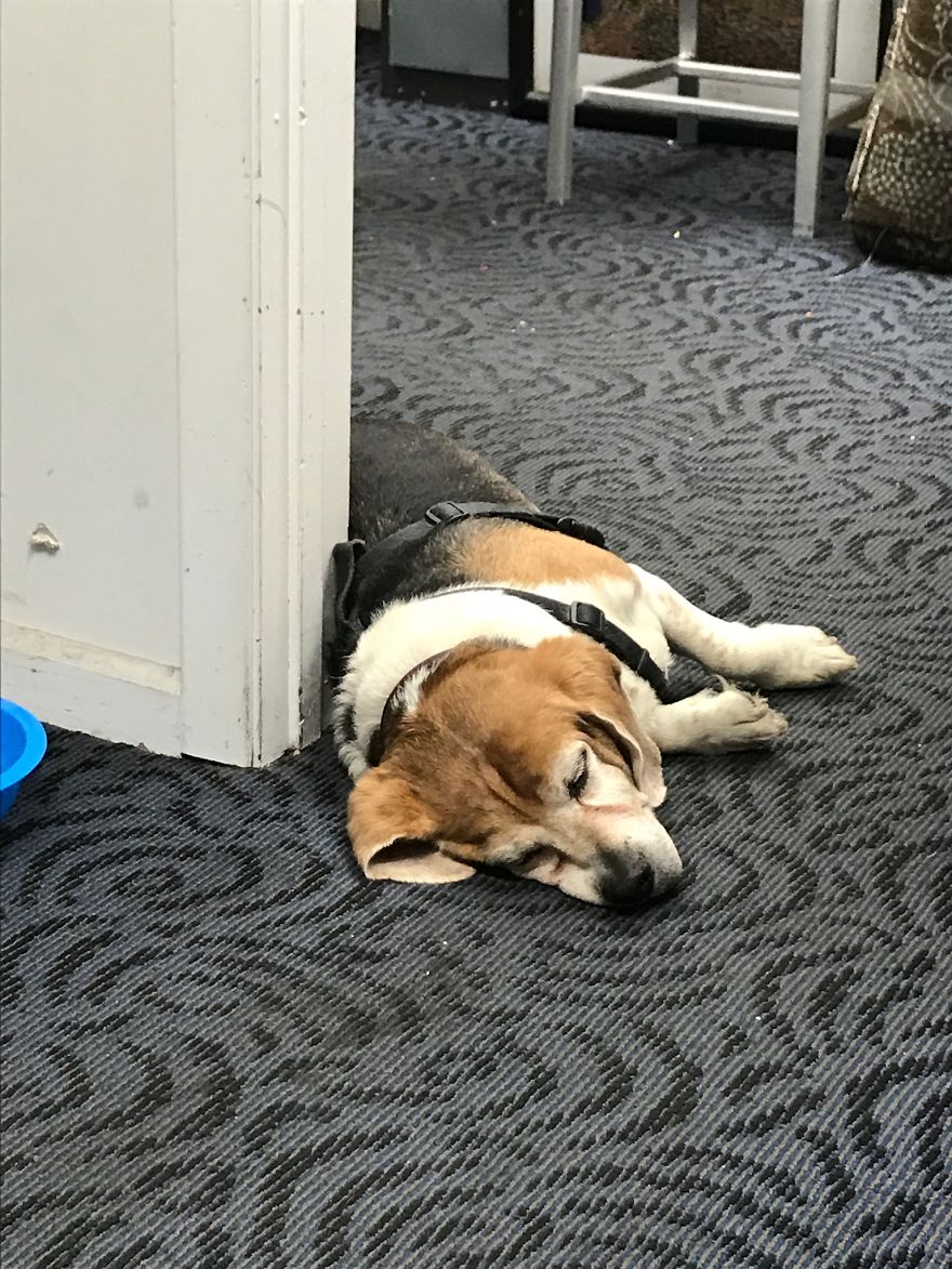 Grover, 14 Years Old, Chicago, Il
