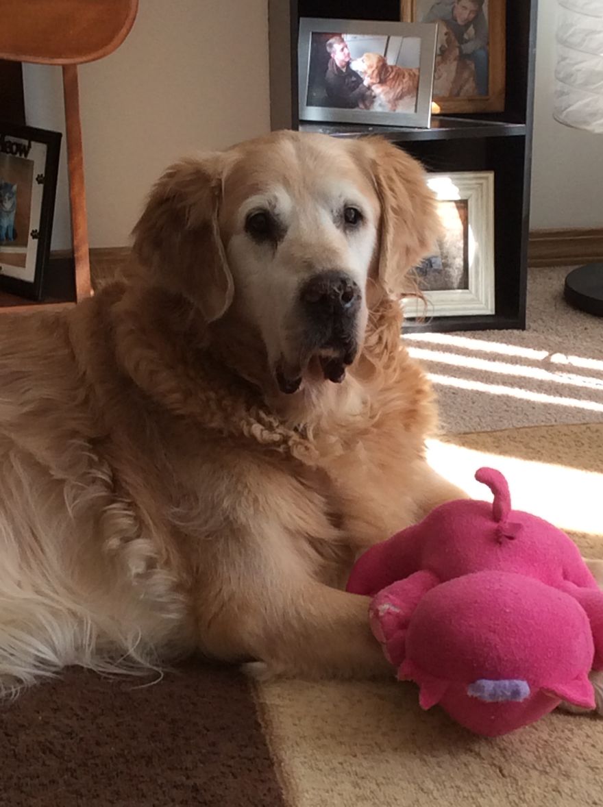 Hawkeye, 16ish And Still Loves His Walkies