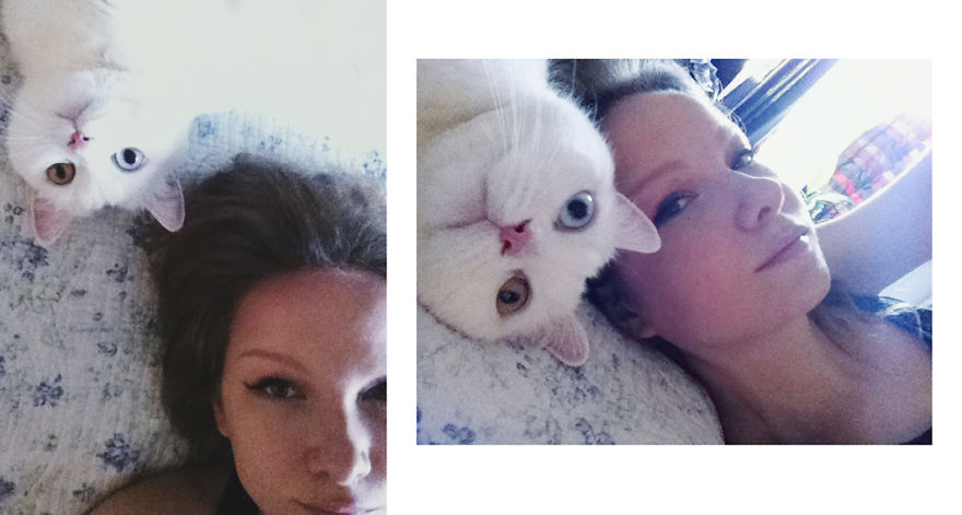 Tihon: Very Special Cat With Odd Eyes Tihon: Very Special Cat With Odd Eyes