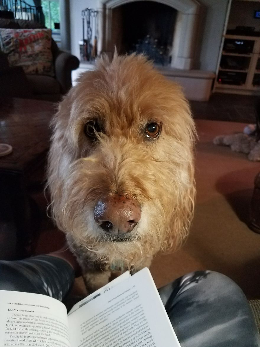 Boudreaux, 10 Yrs 10 Months