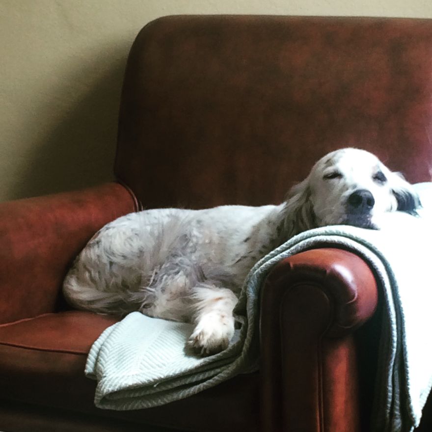 Bones-12 Years Old-helena, Mt