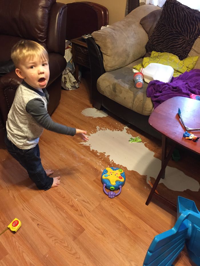 Spot The Full Gallon Of Milk On The Couch!