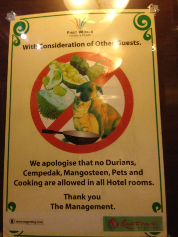 Hotel In Malaysia - If You're Planning A Pet Fry Up, Do It In Your Own Home!