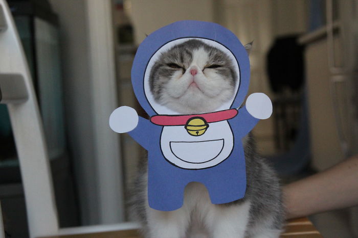 No Gadgets Will Be Granted By This Robotic Cat Genie