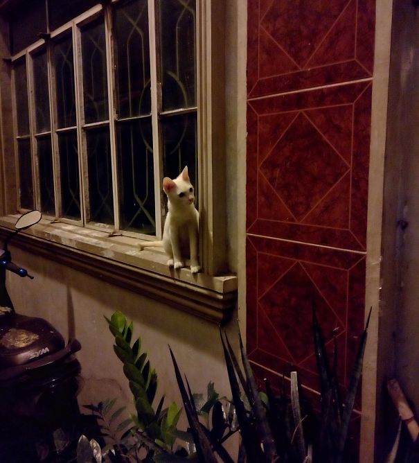 When You Lost Your Keys