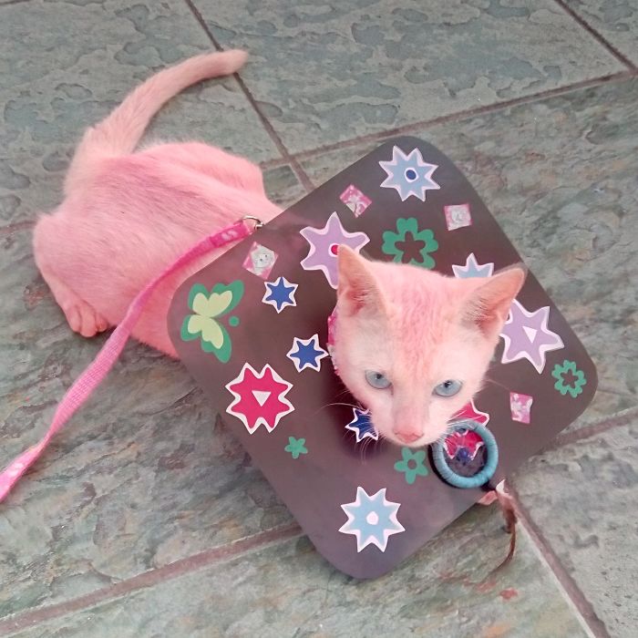 She Was White Before We Left Her Alone!