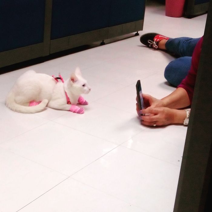 Panorama? What Panorama?