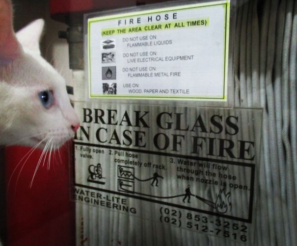 Oh Yeah, I'm Reading It