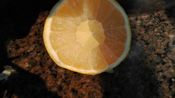 Double Layer Lemon From My Family Farm