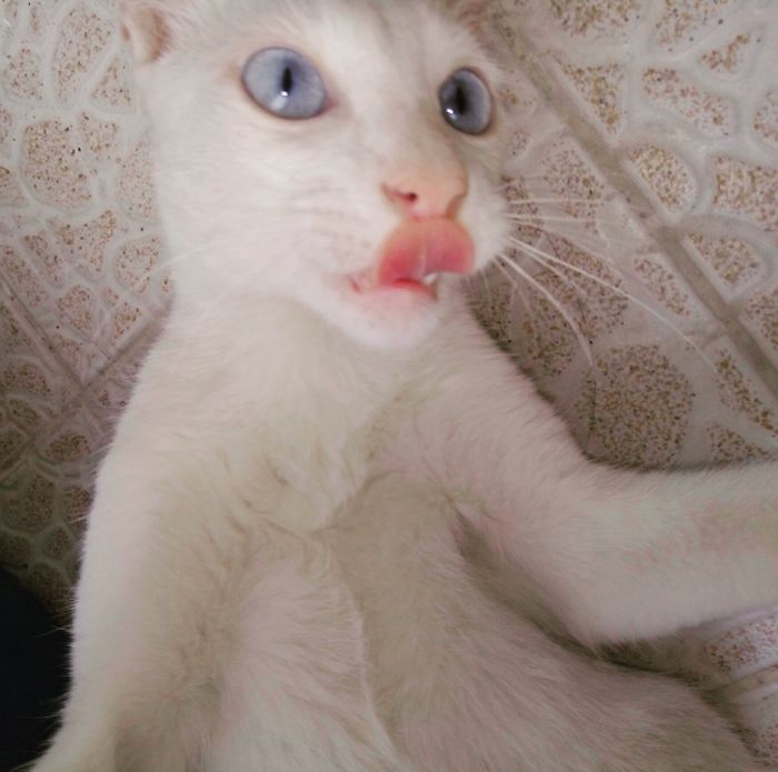 I Had My Tongue On My Cheek!