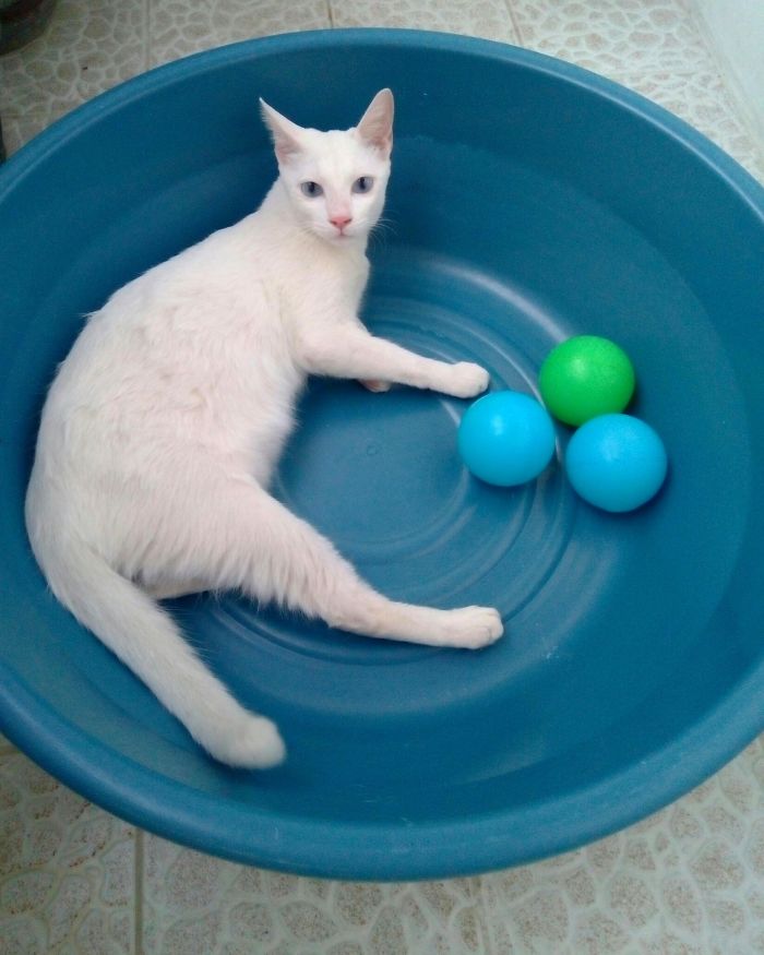 The Out-of-body Experience Of My Balls!