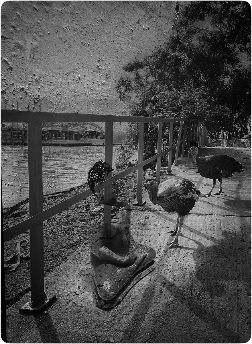 Surreal Travel Pictures Using Huawei P10 And Double Exposure Effect