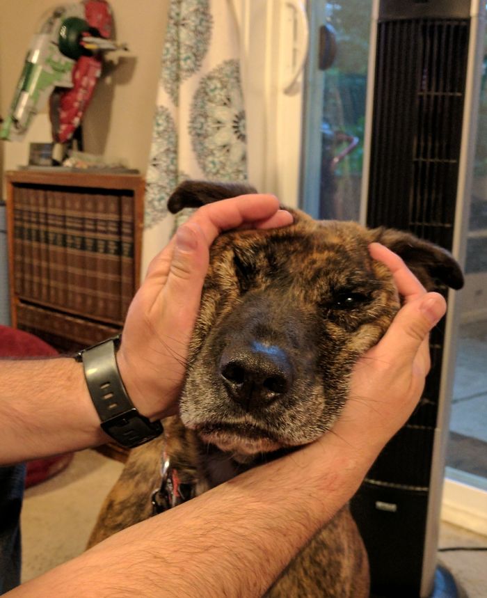 I Make Our Hound Into A Sharpei...